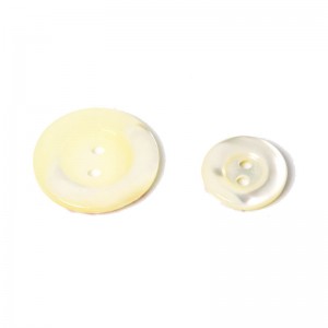 2-hole mother of pearl button with piping
